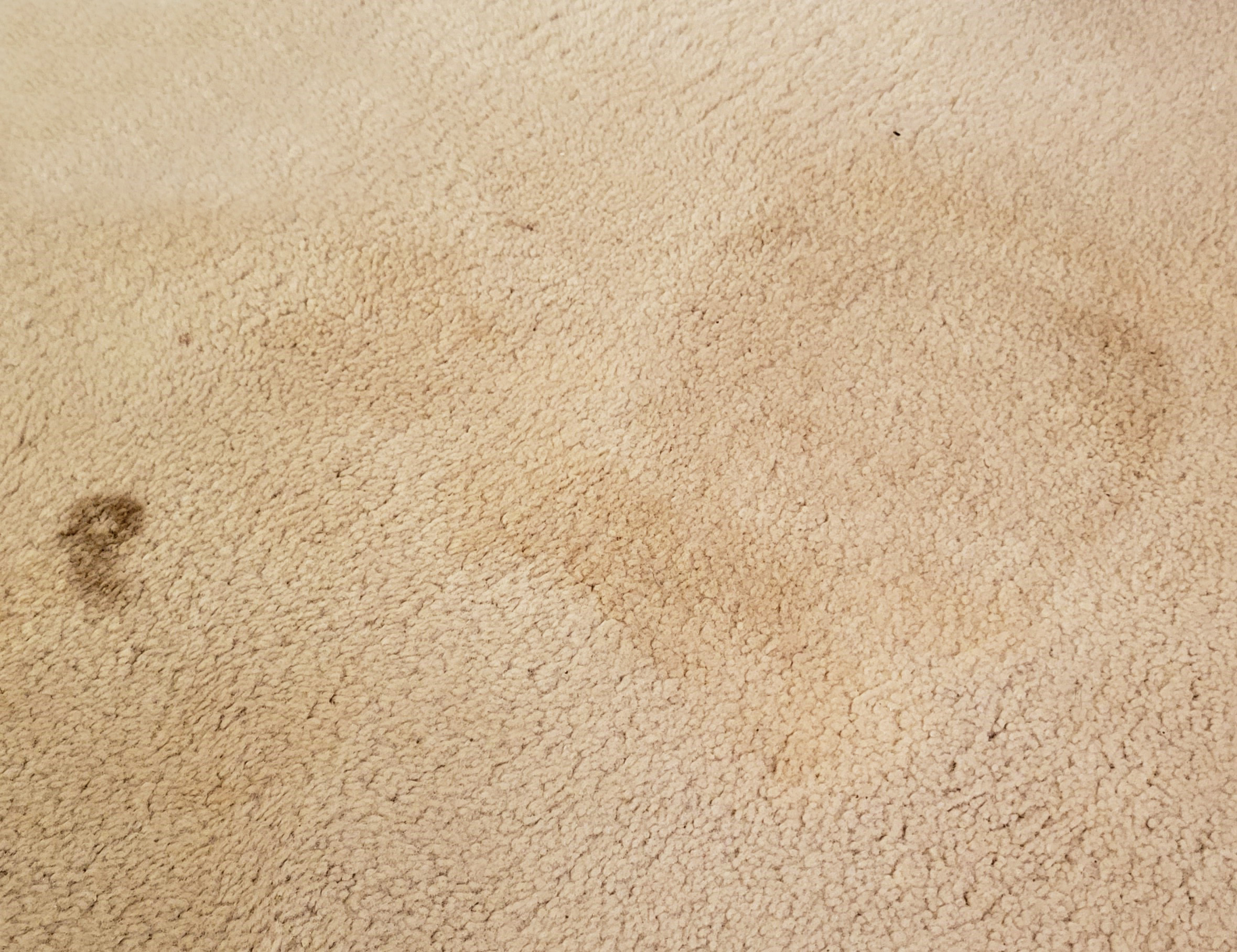 Carpet Shampooing Bartlett Illinois