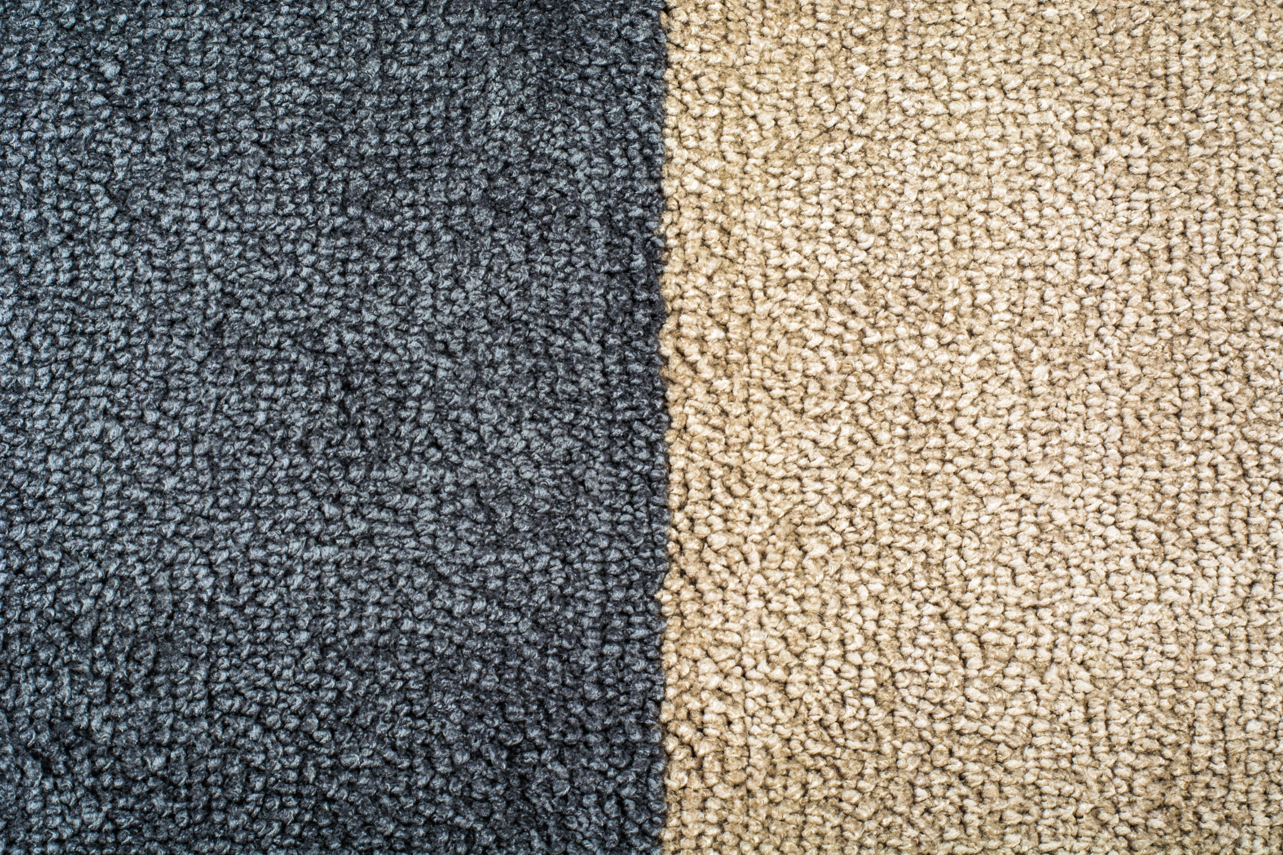 Carpet Shampooing South Barrington Illinois